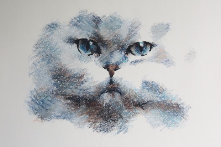 Dessin pastel chat 3