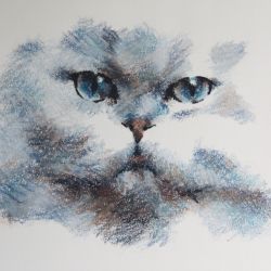 Dessin pastels Dessin pastel chat 3