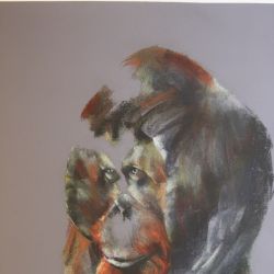 Dessin pastels Vois-tu dans mon regard les ors de la jungle